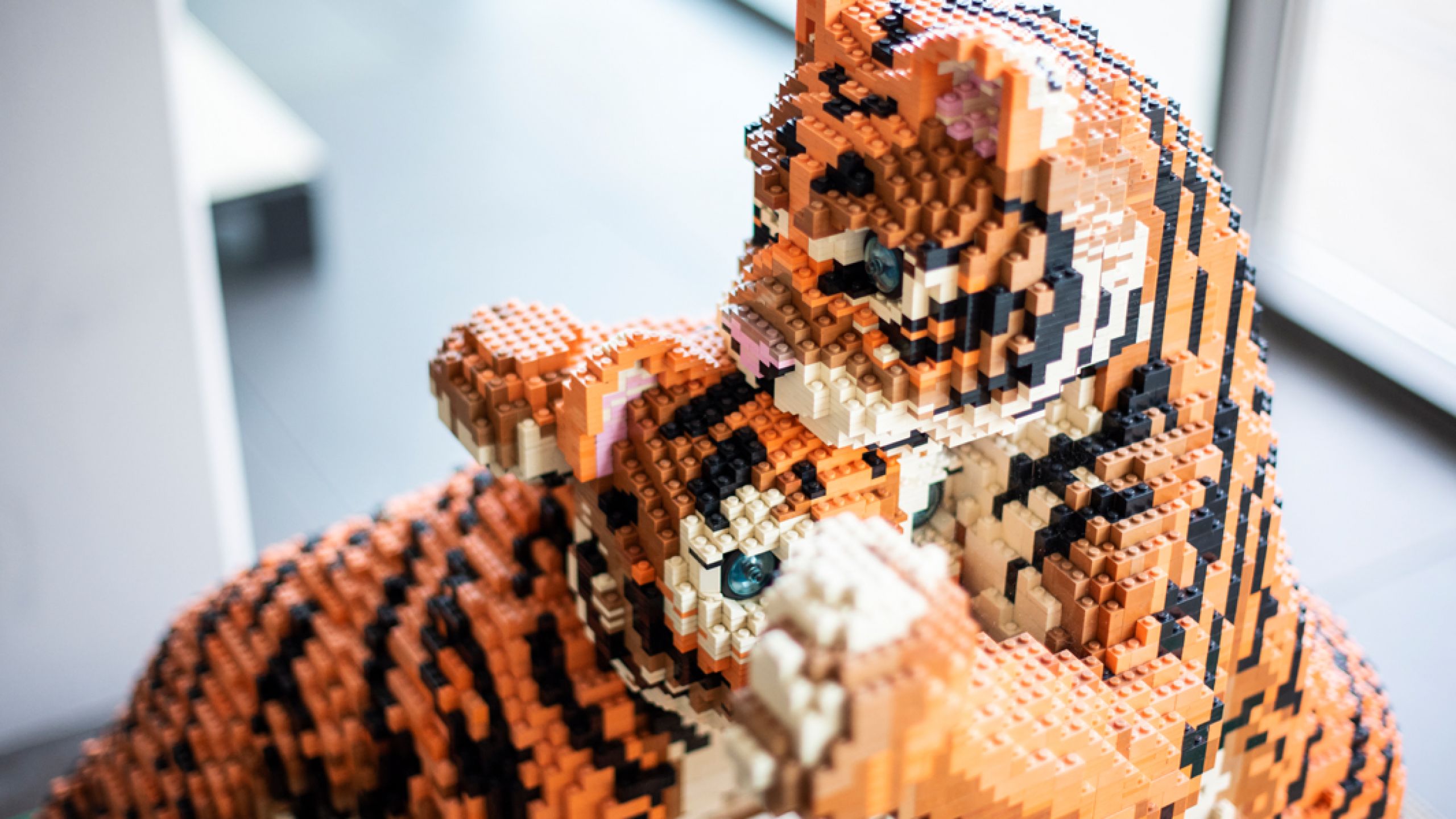 Kleine Tiger BIG CATS